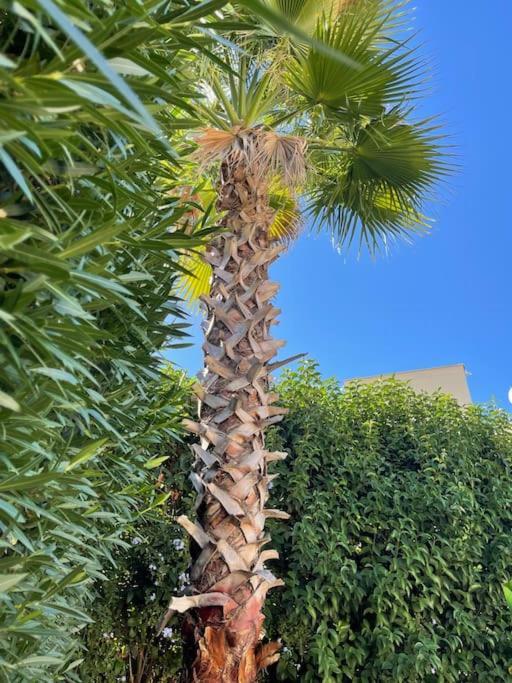באלאק Excellent 3 Storey Villa With A Swimming Pool מראה חיצוני תמונה